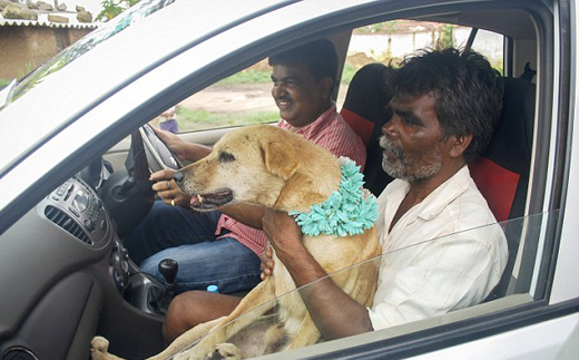 Girl marries  dog